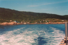 564: Red Island. (2002) [courtesy of Madonna (Bishop) Mulrooney]